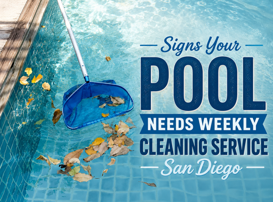 Pool Needs Professional Cleaning Services