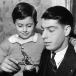 joe dimaggio jr